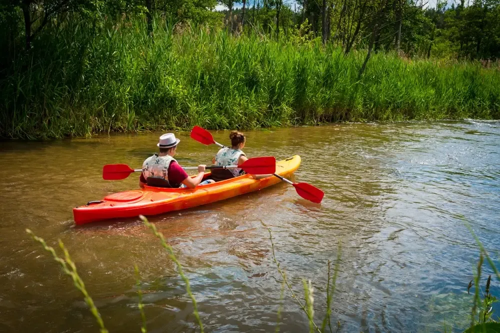 Zdjęcie Spływ kajakowy Zwierzyniec: Trasy, Ceny i Poradnik 2024