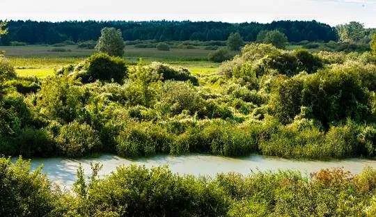 Zdjęcie Trasy motocyklowe Podlasie - odkryj ukryte skarby regionu
