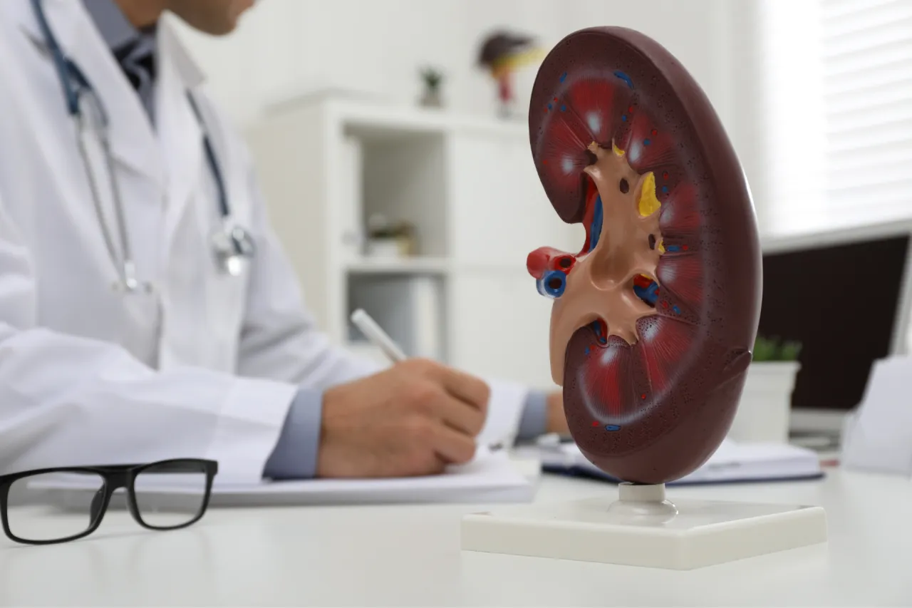 Zdjęcie Który lekarz od wątroby najlepiej zdiagnozuje Twoje dolegliwości? Poradnik