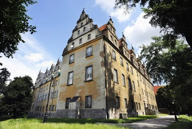 Zdjęcie Zamek książęcy w Oleśnicy: historia, architektura i atrakcje turystyczne