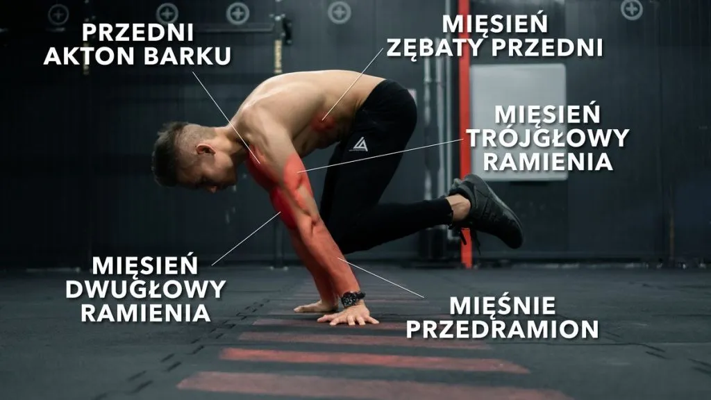 Zdjęcie Zajęcia z kalisteniki: jak zacząć i znaleźć najlepsze treningi