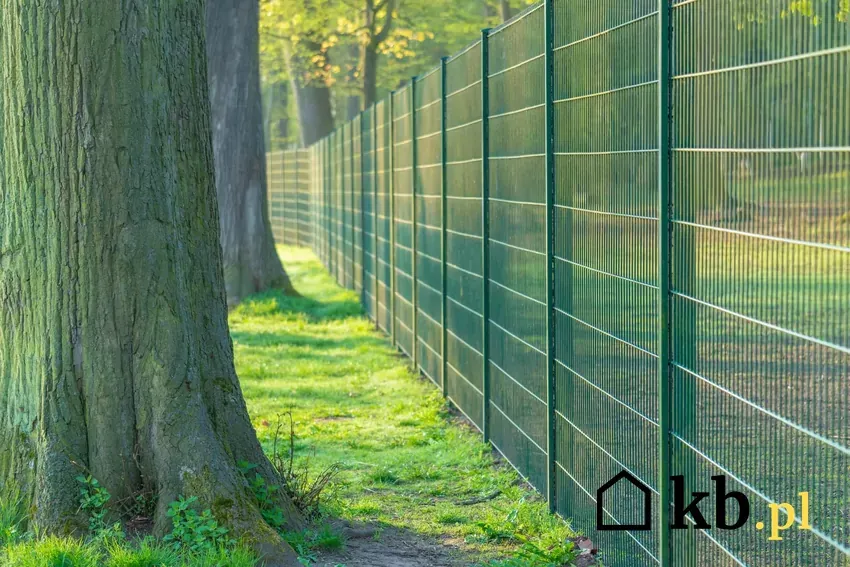 Zdjęcie Ile kosztuje ogrodzenie działki 1000m2? Zobacz ukryte wydatki!