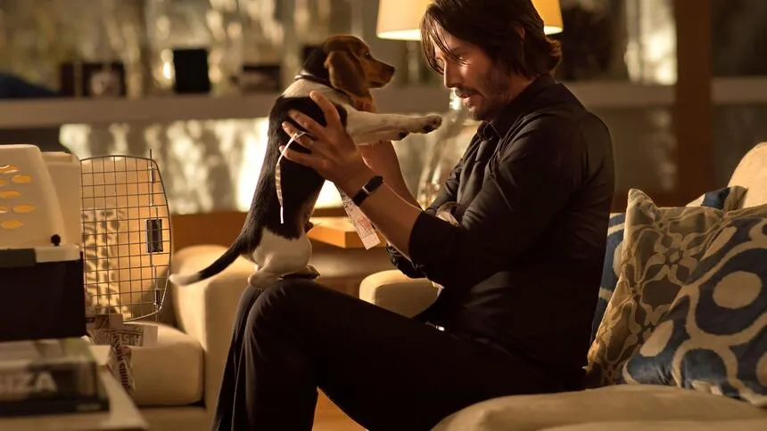 Zdjęcie Psy w John Wick 3 - poznaj wyjątkowe czworonogi z kultowych scen akcji