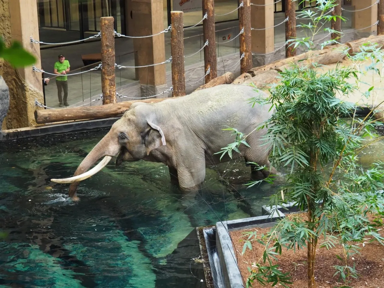 Orientarium ZOO Ł&oacute;dź wejście gł&oacute;wne