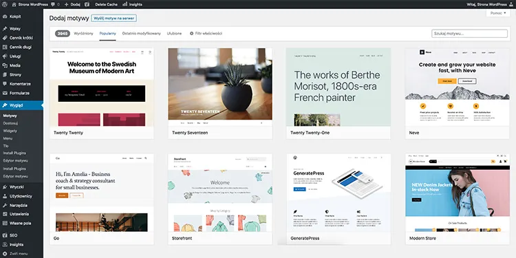 przykładowy motyw wordpress