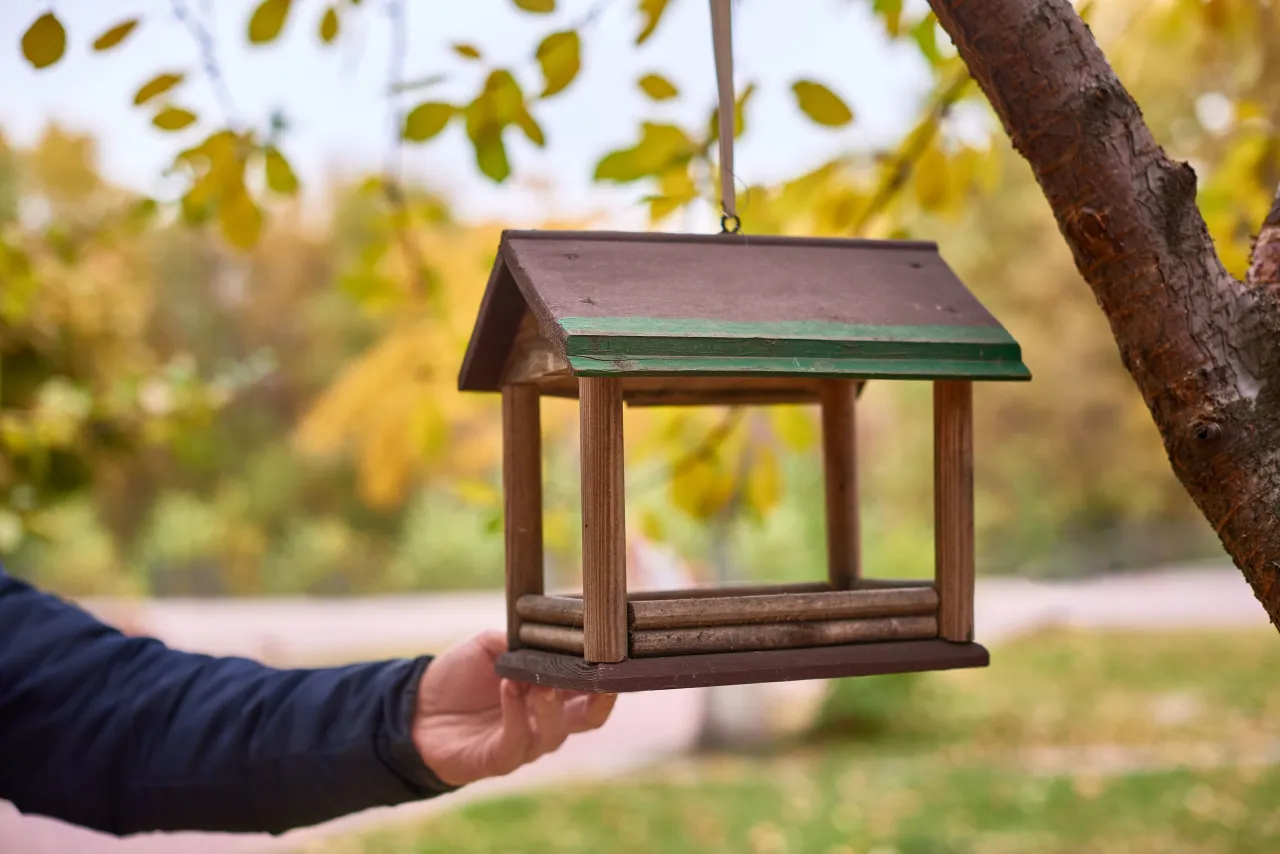 karmnik dla ptak&oacute;w zabezpieczony przed kotami i drapieżnikami