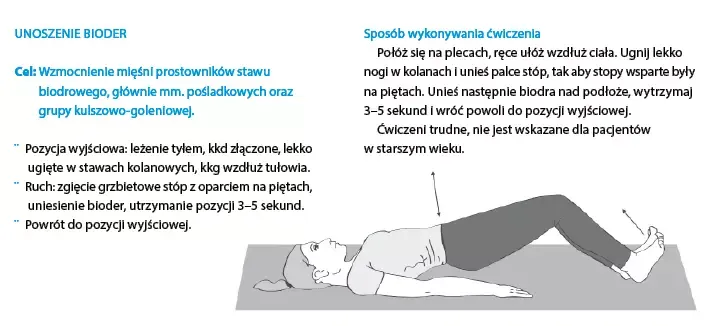 Etapy rehabilitacji po endoprotezie biodra infografika