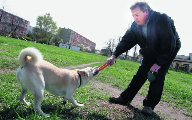 Krakowskie Błonia psy spacer