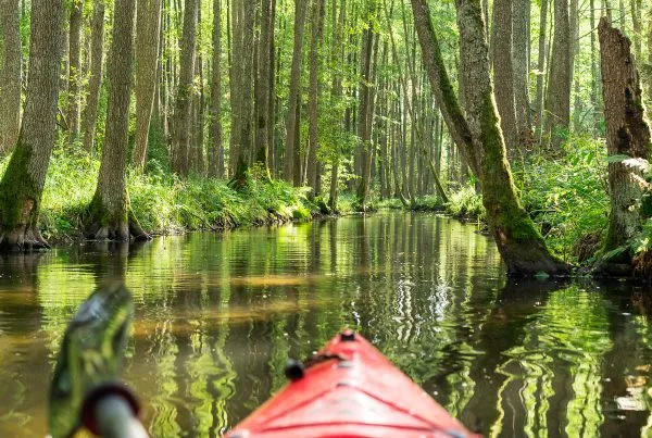 Roztoczański Park Narodowy krajobrazy rzeka Wieprz kajaki