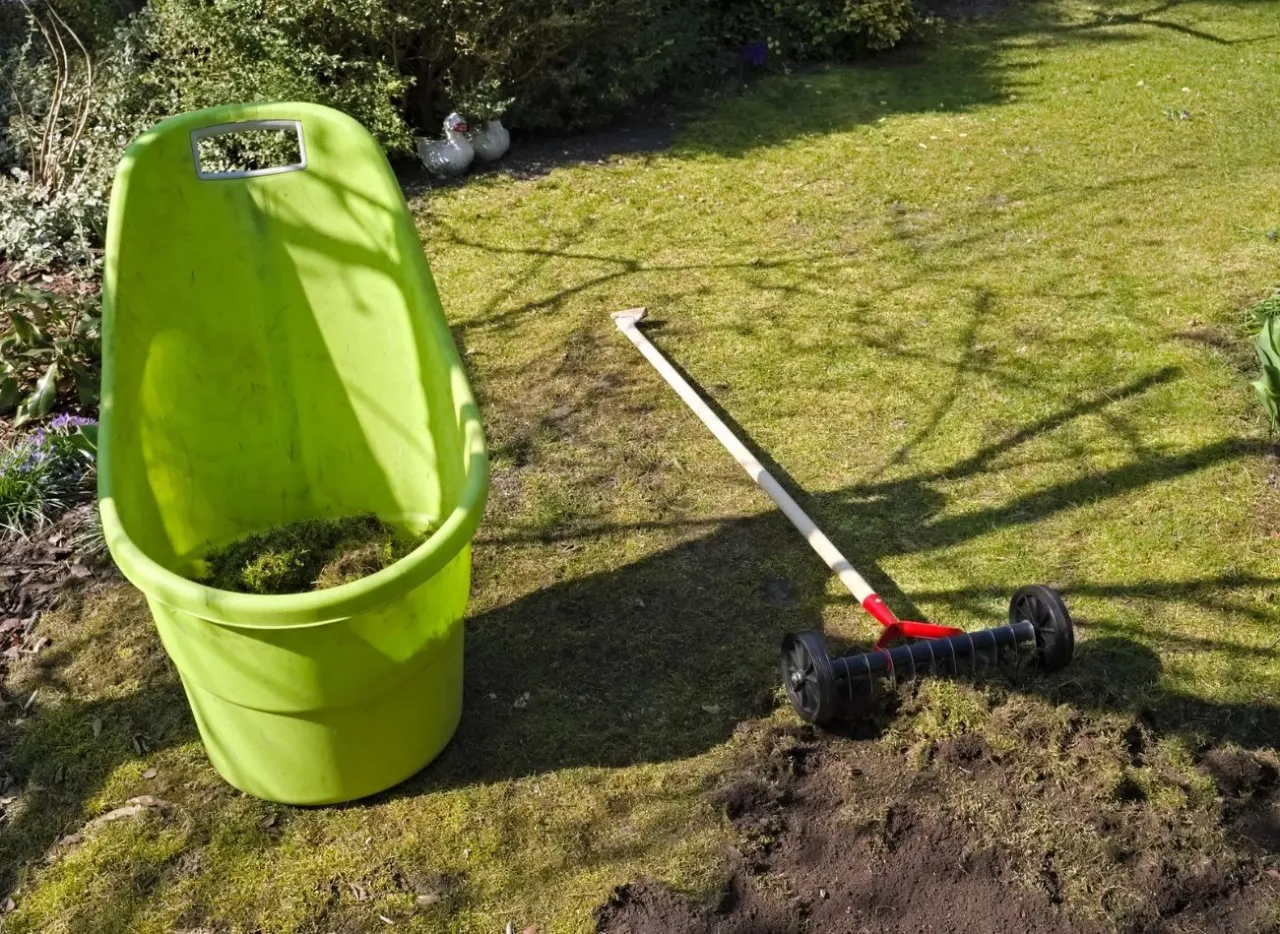 siarczan żelaza na mech dawkowanie