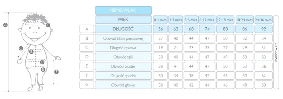 Tabela rozmiar&oacute;w ubranek dla dzieci 18-24 miesiące