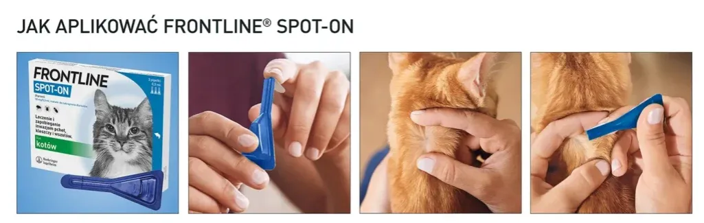 aplikacja kropli spot-on u kota