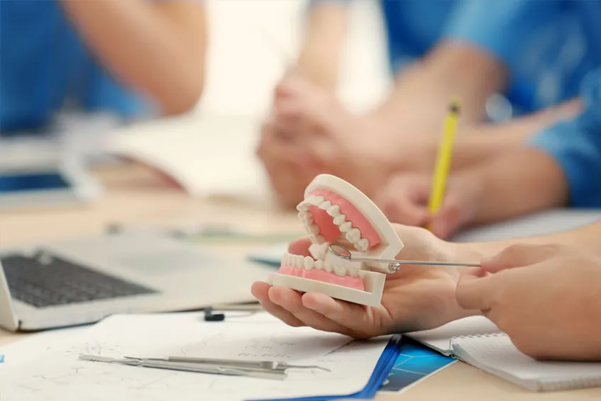 studia lekarsko dentystyczne