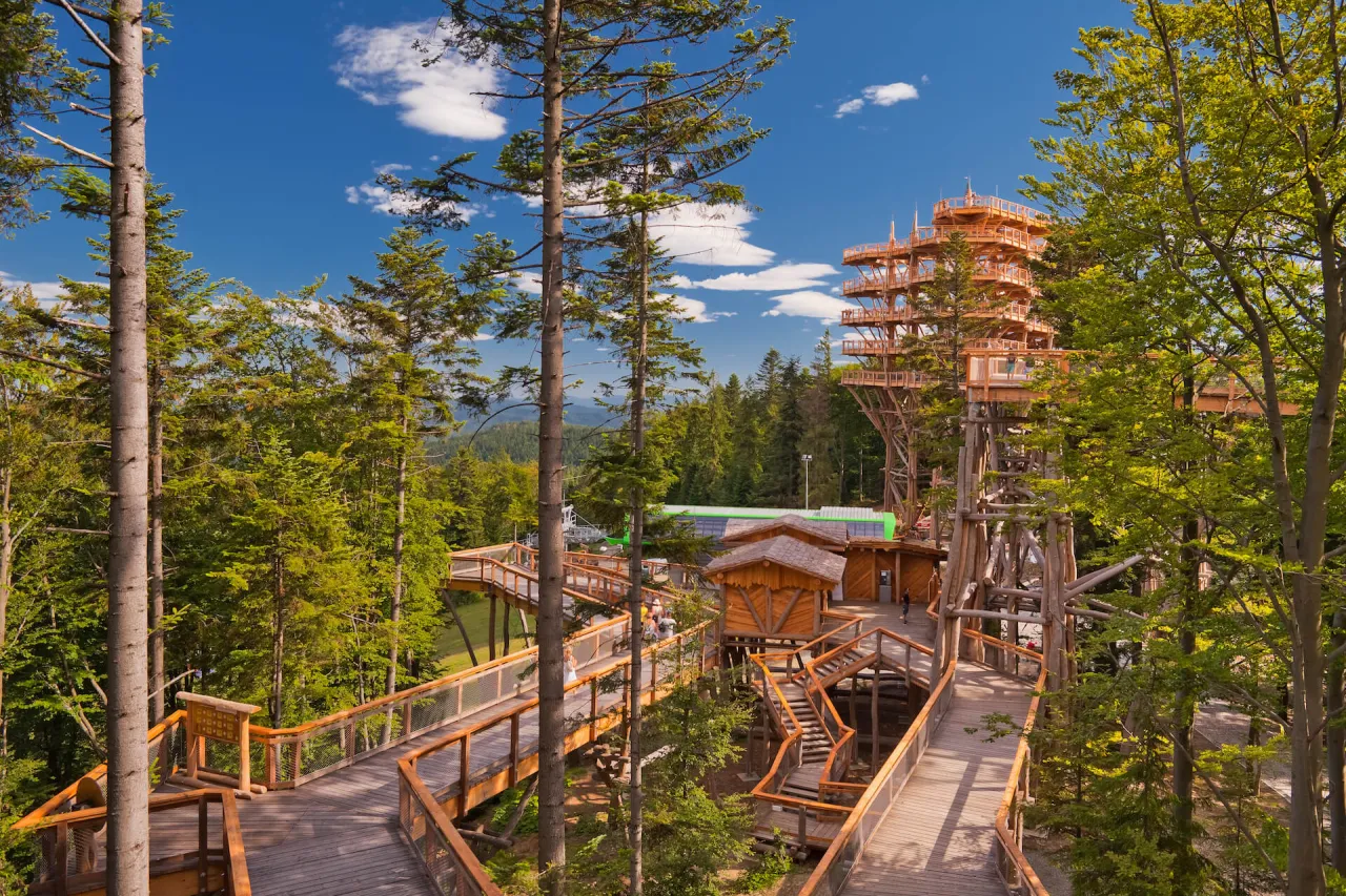 Wieża widokowa Krynica Zdr&oacute;j ścieżka w koronach drzew