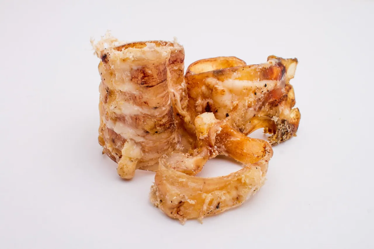 szczeniak gryzący naturalny przysmak