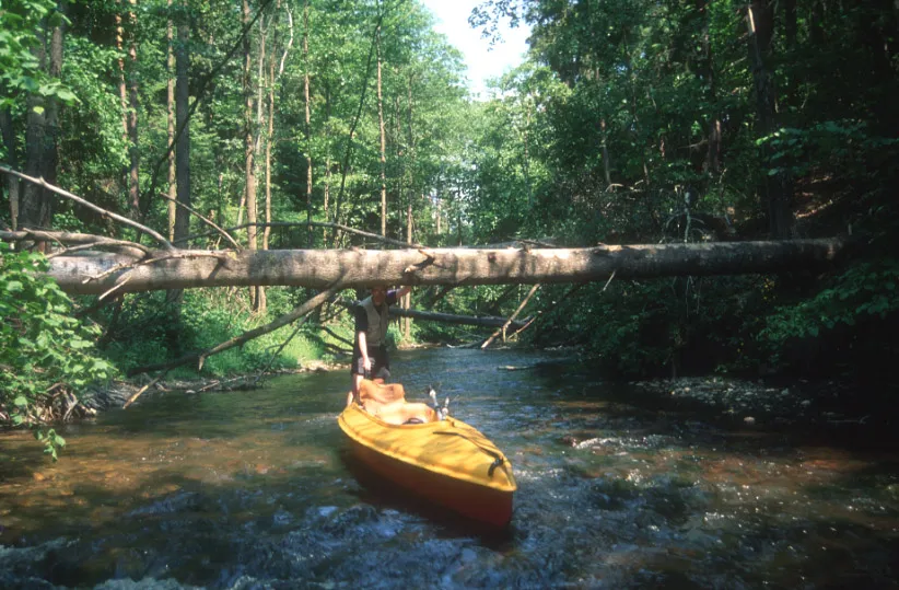 spływ kajakowy Rospuda krajobrazy rzeki