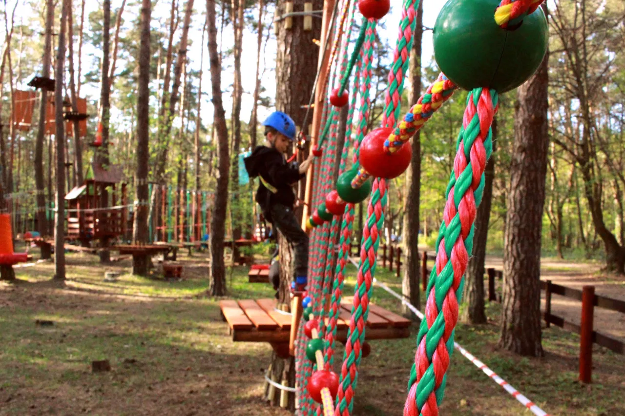 Kielecki Park Linowy w Parku Baranowskim zdjęcia tras dla dzieci i dorosłych