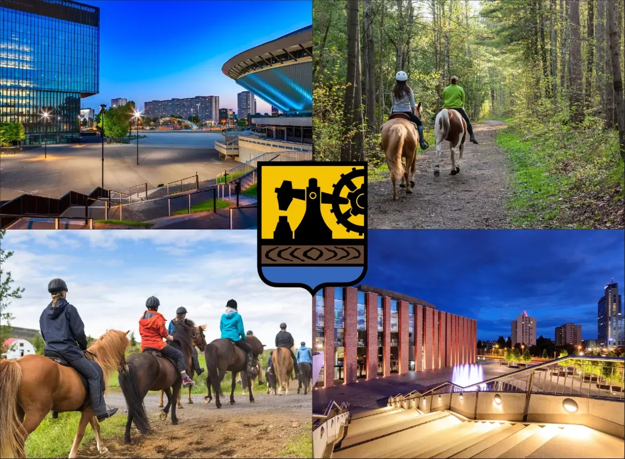 Lekcje jazdy konnej w Katowicach