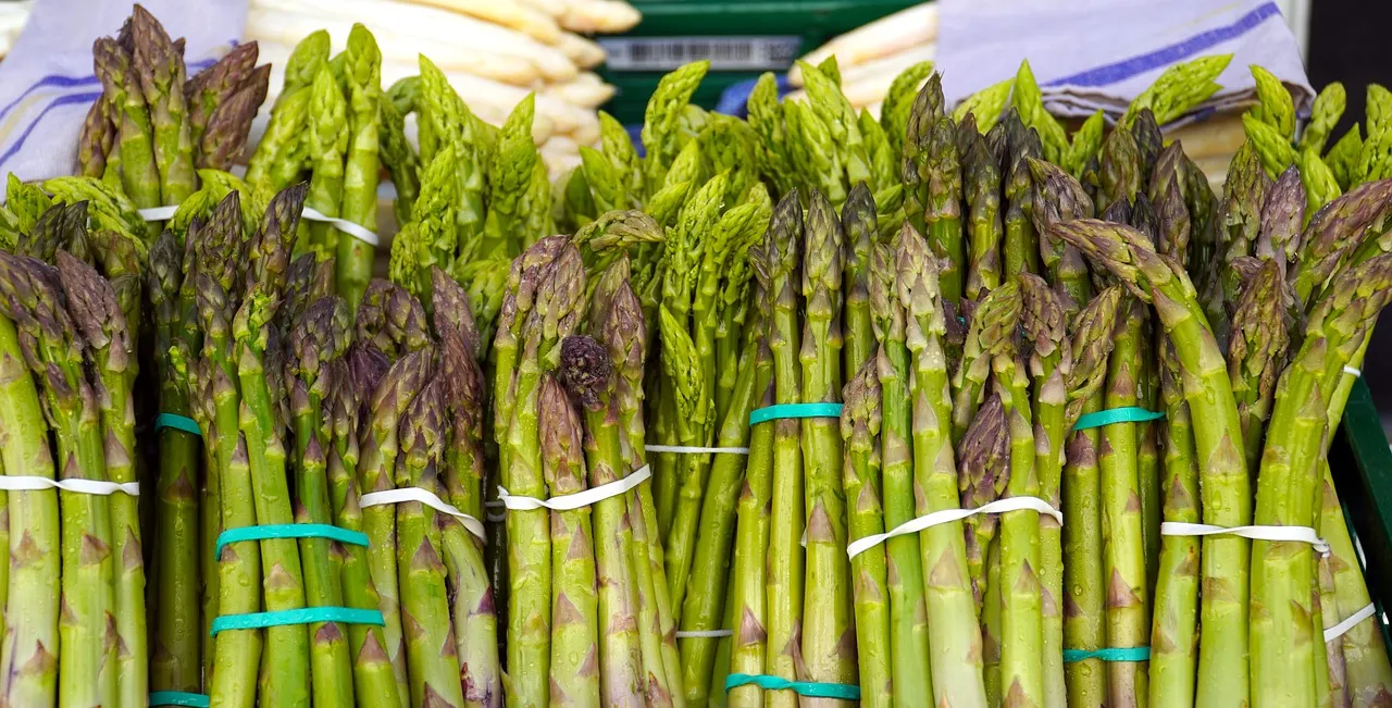 przygotowanie szparag&oacute;w mycie obieranie