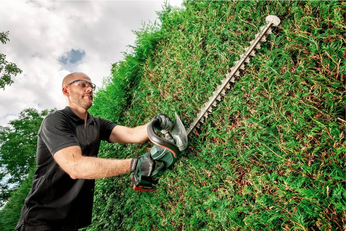 narzędzia do przycinania tui sekator nożyce