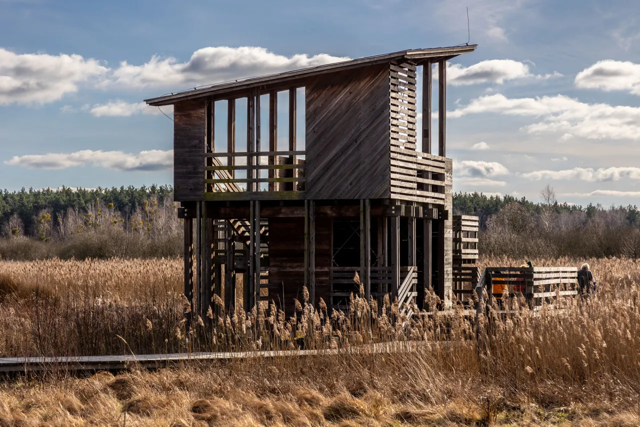 Wieża widokowa Olszowieckie Błoto