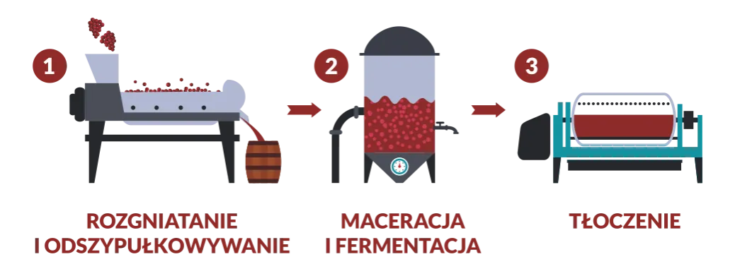 Proces klarowania wina schemat
