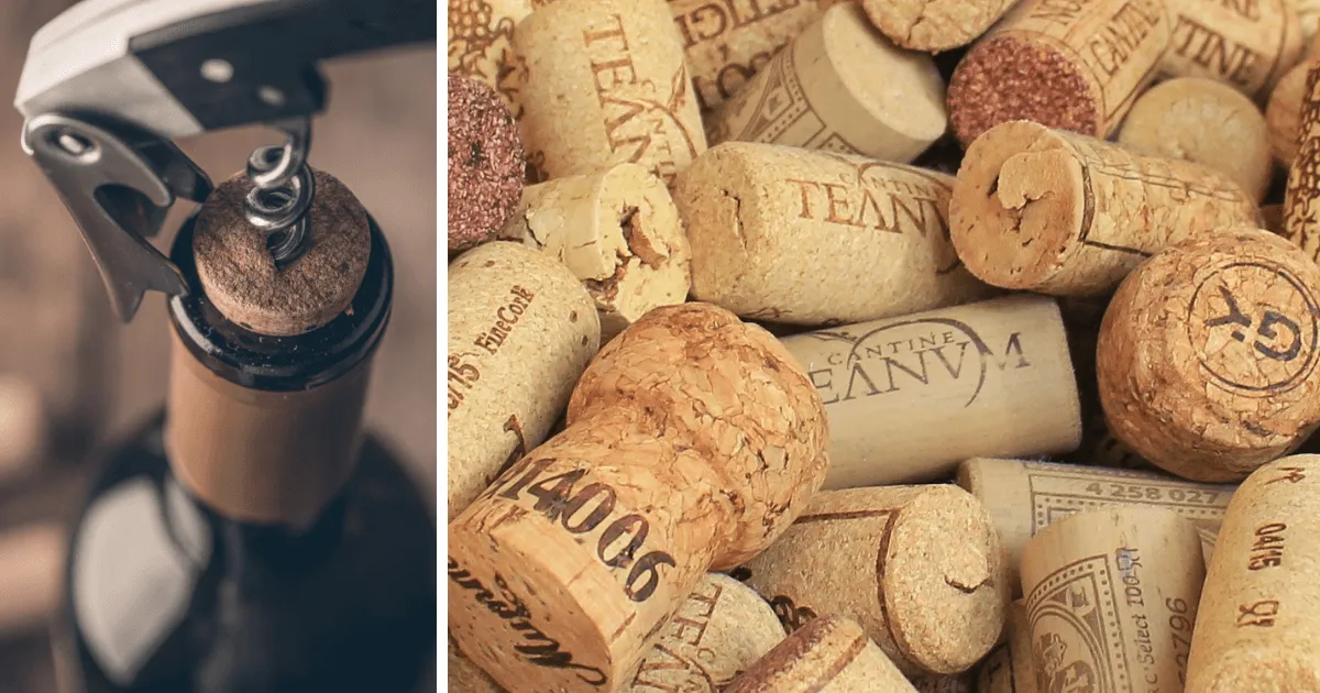 wypchnięty korek wino uszkodzony korek
