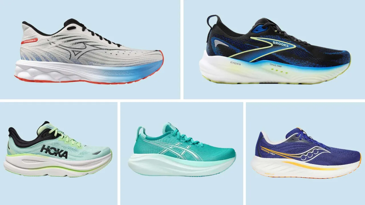 verschiedene läufertypen dämpfung