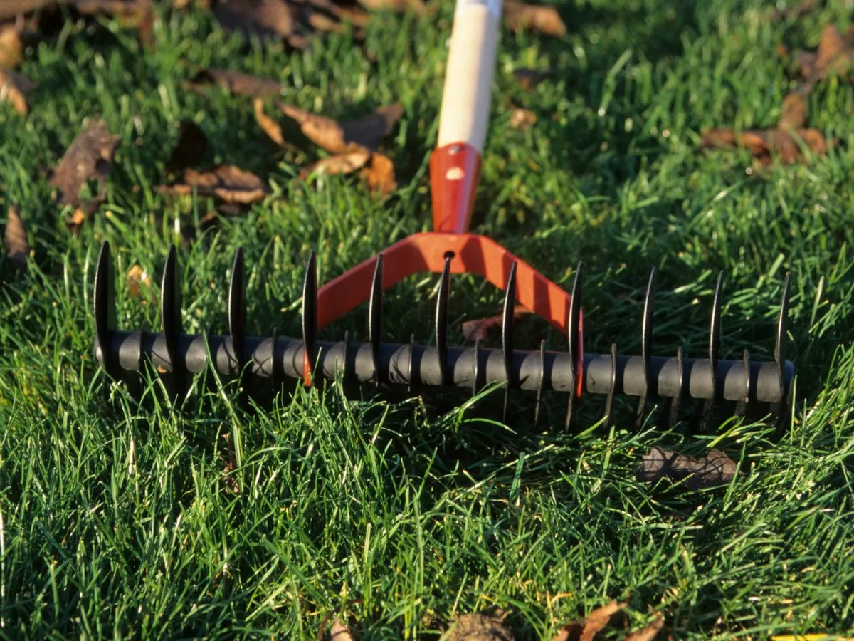 Kalendarz pielęgnacji trawnika aeracja