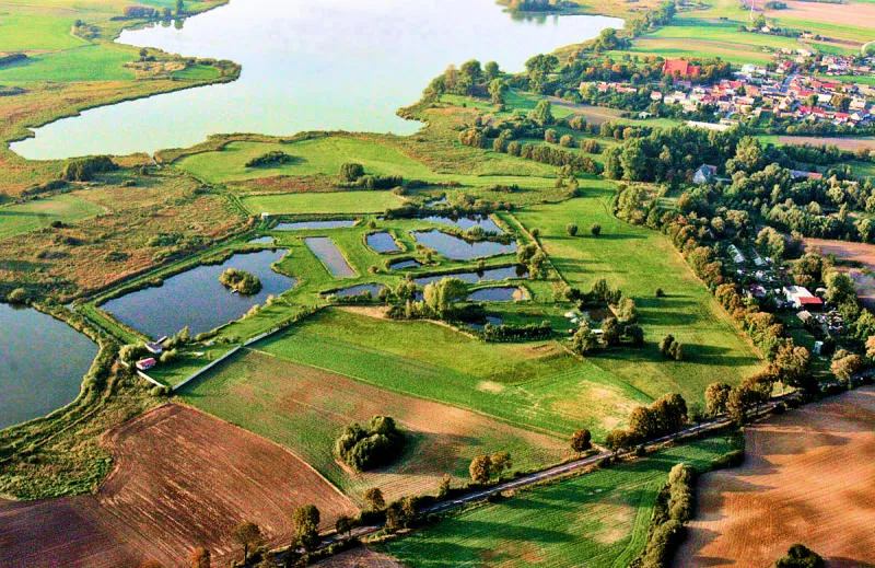 Agroturystyka z łowiskiem Wielkopolska