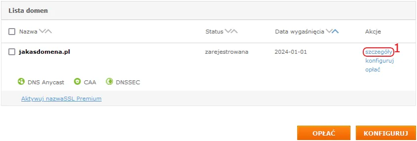 Panel rejestratora domeny z opcją pobrania Authinfo