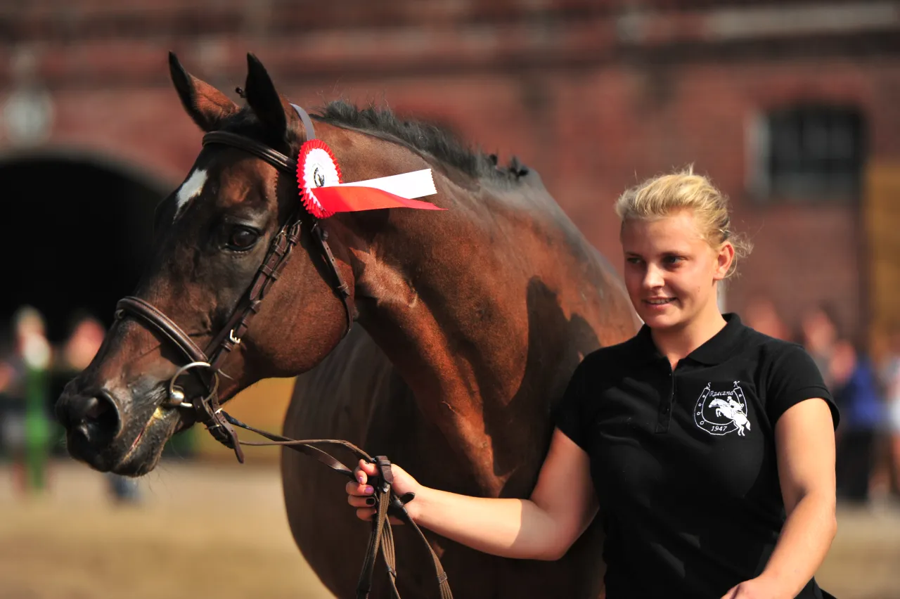 Stadnina Koni Nowa Wieś Rzeczna