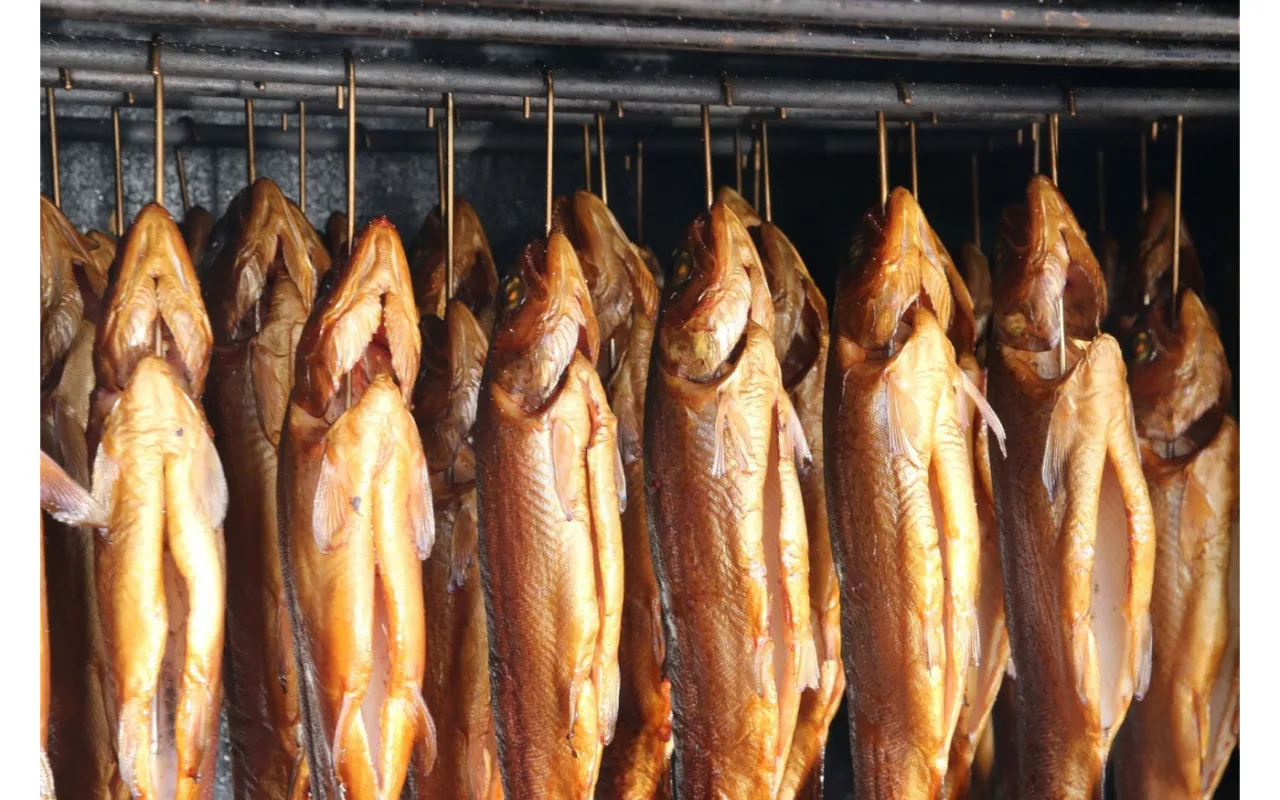 Rodzaje drewna do wędzenia ryb