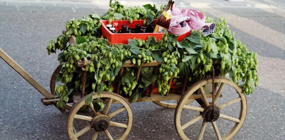 strefa piwna na weselu z r&oacute;żnymi rodzajami piw kraftowych i dekoracjami
