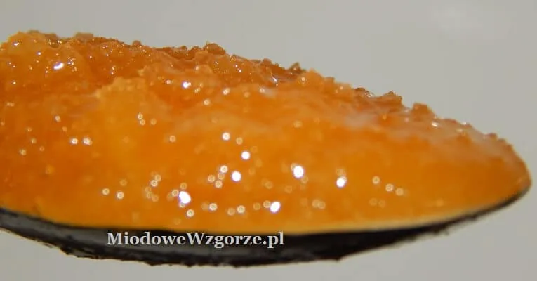 Zdjęcie Czy do miodu dodaje się cukier? Prawda o naturalności i składzie miodu