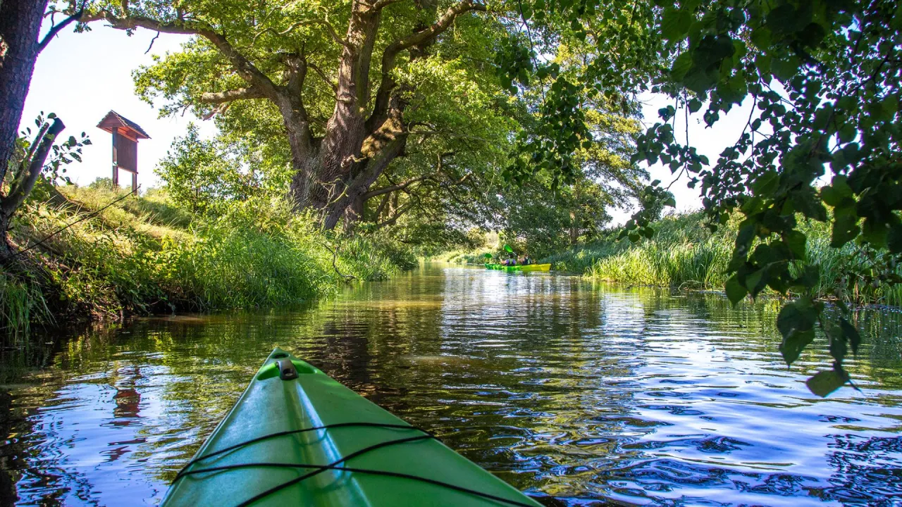 kajaki rzeka barycz dolina baryczy