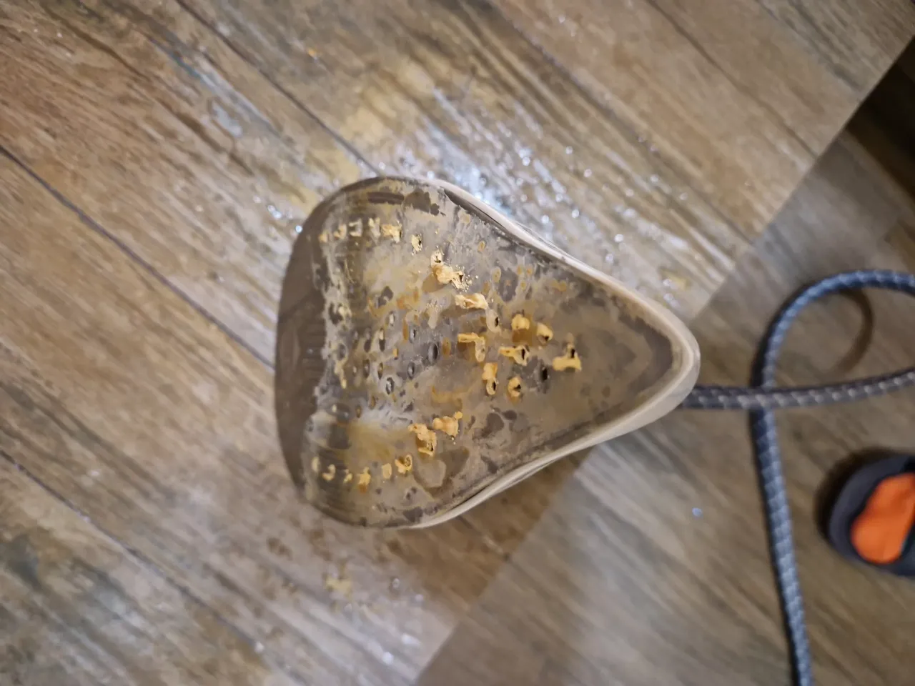 zakamieniona stopa żelazka