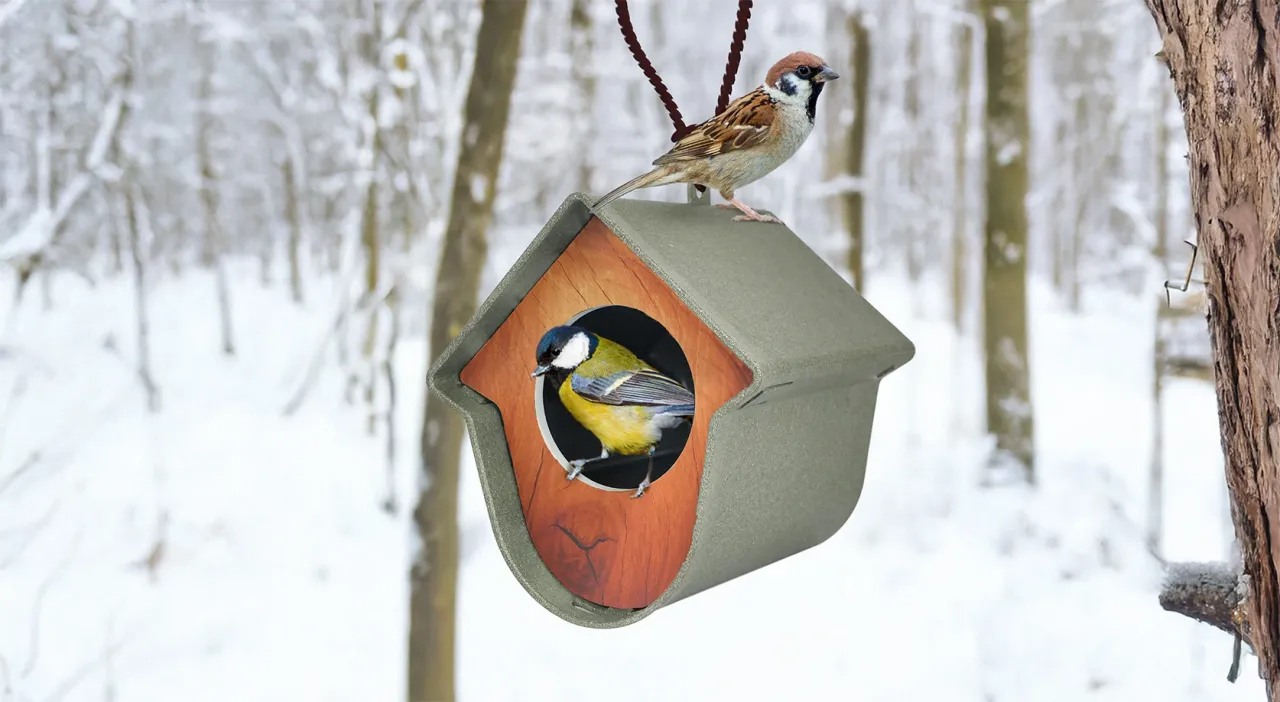 jabłka gruszki dla ptak&oacute;w karmnik