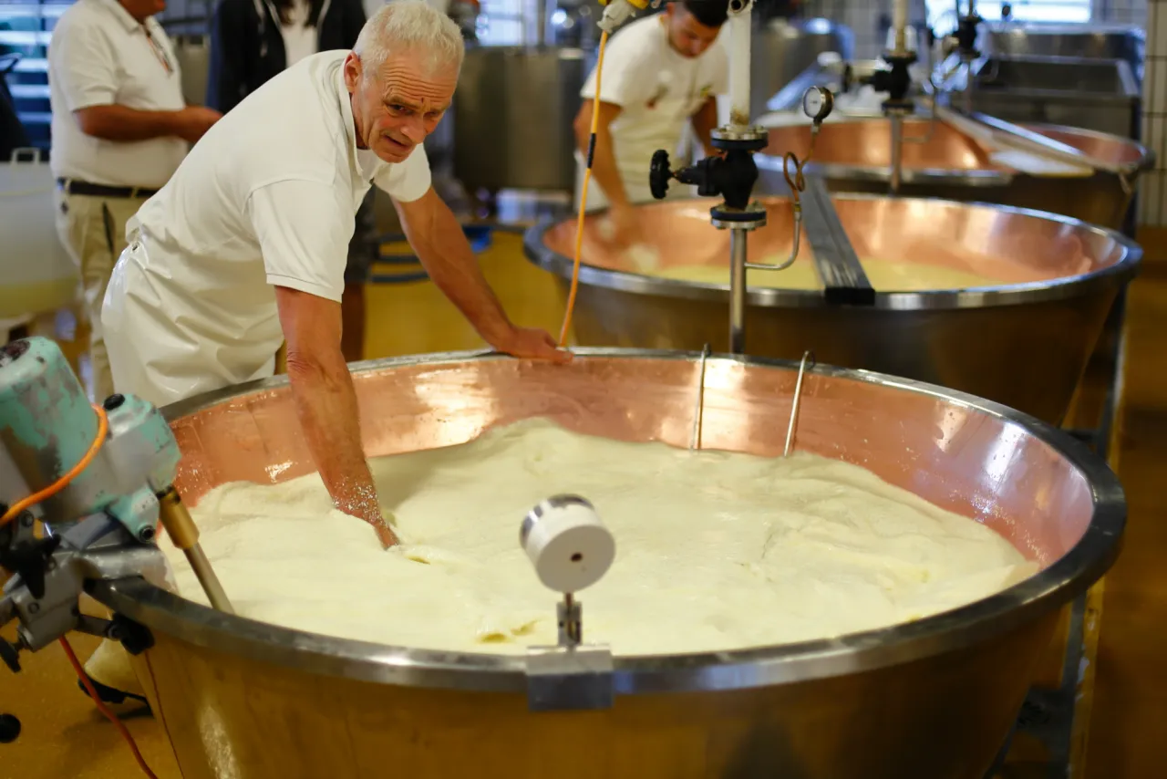 Produkcja Parmigiano Reggiano w kadziach