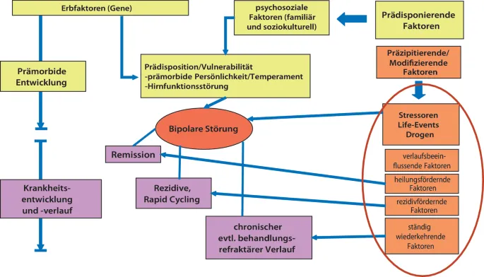 Diagnoseprozess bipolare St&ouml;rung Schritte