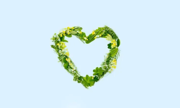 serce zdrowie zioła