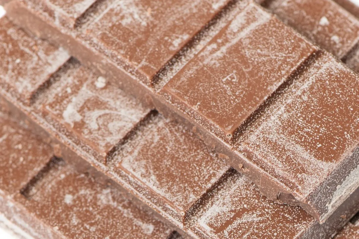 biały nalot na kakao czy to pleśń