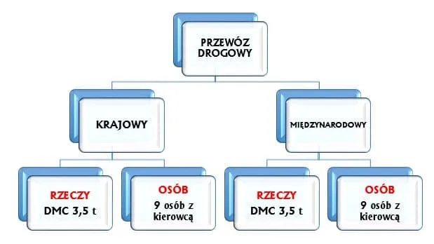 Wz&oacute;r licencji na krajowy przew&oacute;z os&oacute;b busem 9-osobowym