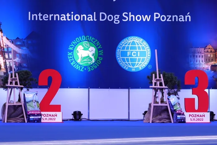 Zdjęcie Jak sprawdzić czy hodowla jest w ZKwP i uniknąć oszustw