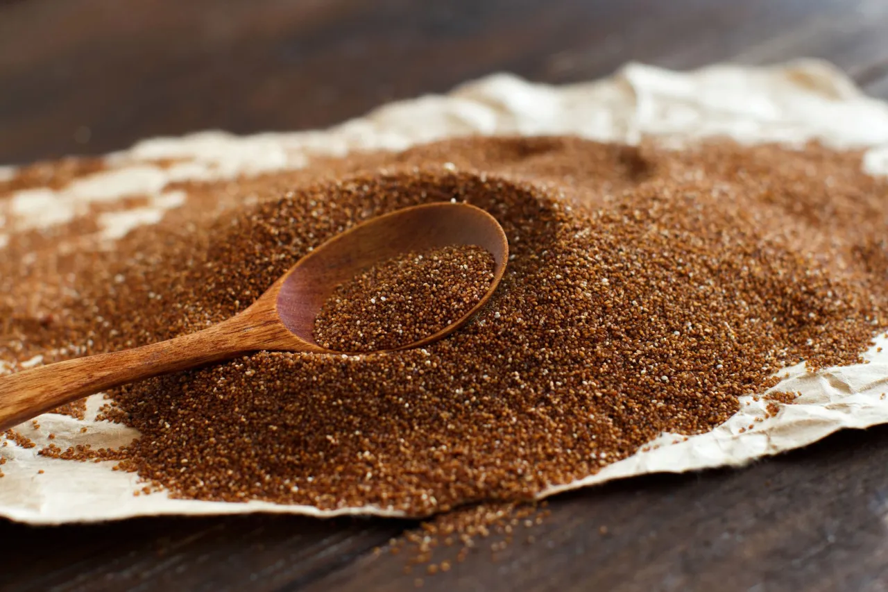 miłka abisyńska zboże teff