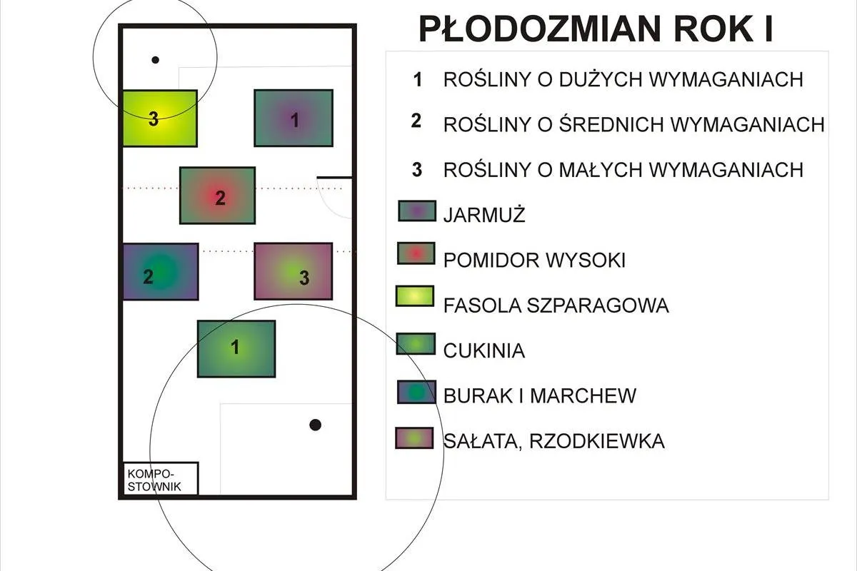 planowanie grządki fasola szparagowa płodozmian