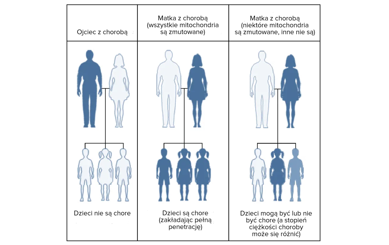 dziedziczenie gen&oacute;w matka ojciec