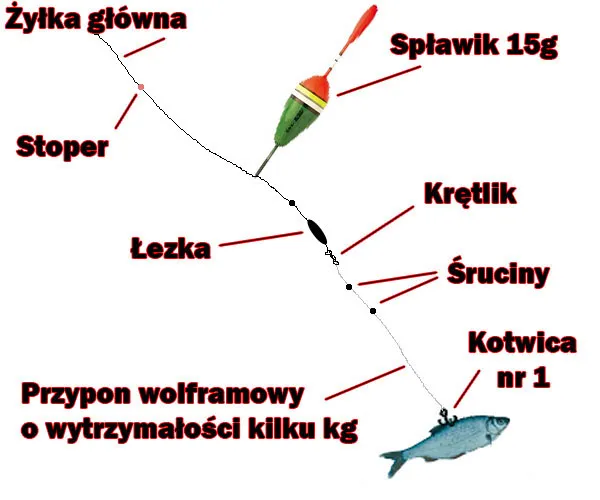 zestaw wędkarski na żywca szczupak