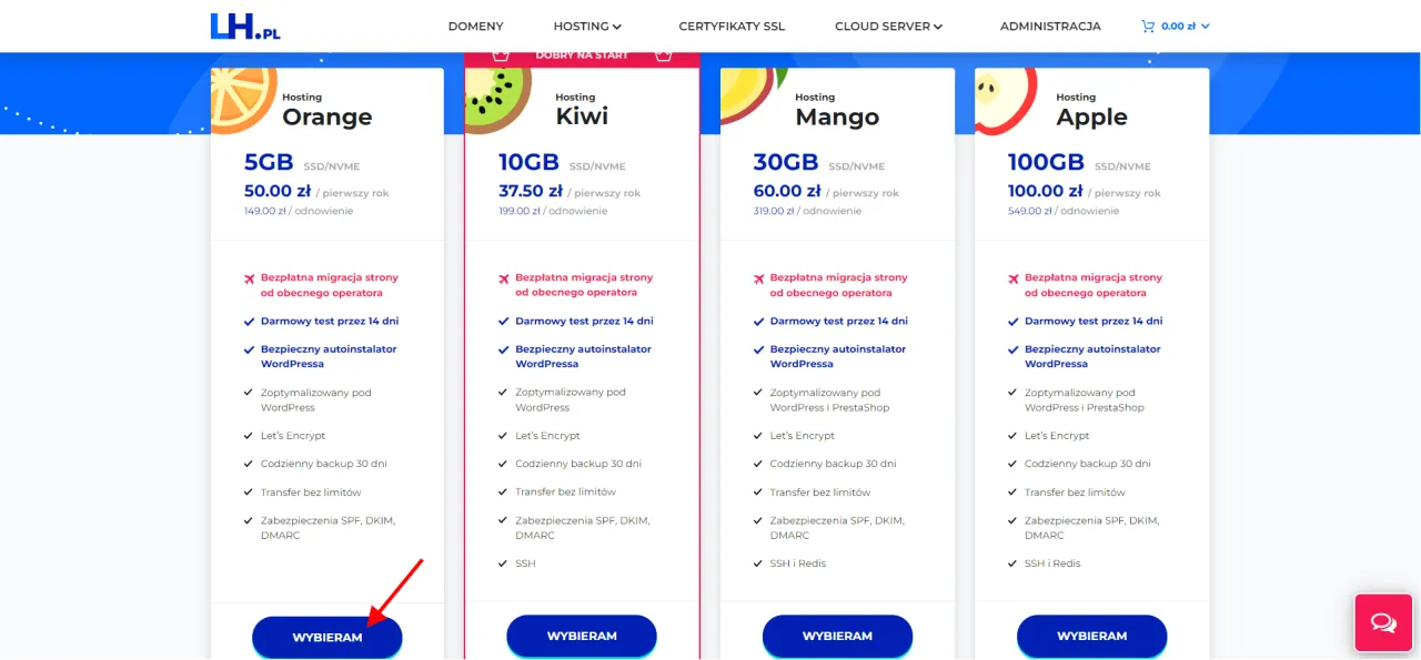 Chcesz wiedzieć, jak zrobić stronę w WordPress? Sprawdź hostingi z autoinstalatorem WordPress, darmowym testem i optymalizacją.