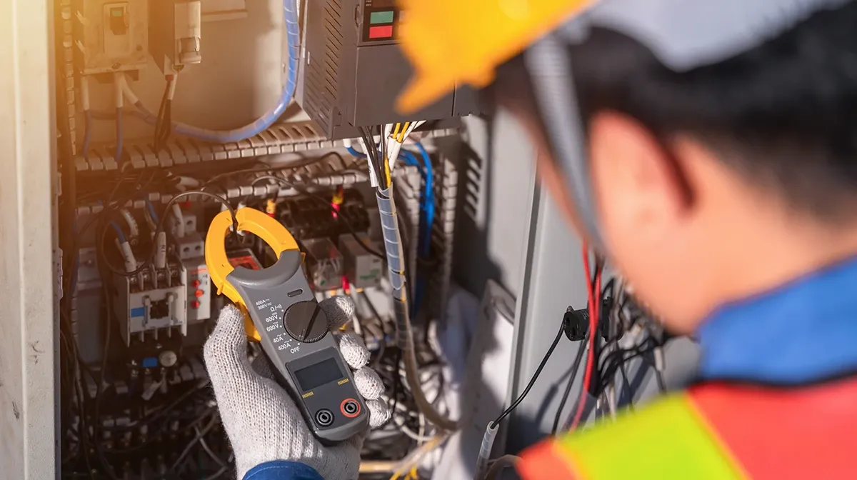 elektryk jednoosobowa działalność gospodarcza odpowiedzialność